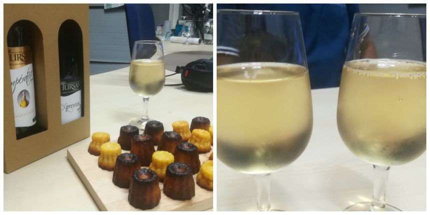 Le bourret et quelques cuvées des vins du Tursan