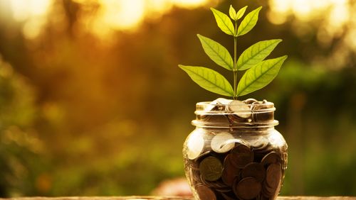 Un "New Deal vert" à la rescousse de la planète ?