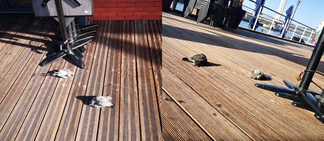 C'est Alexandre, un rouennais travaillant sur les quais, qui aurait transmis cette photo au site RouenInfo.