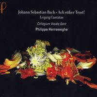 Cantate BWV 105 : Herr gehe nicht ins Gericht mit deinem Knecht : Herr gehe nicht ins Gericht mit deinem Knecht (Choeur) - pour solistes choeur cor 2 hautbois cordes et basse continue