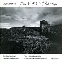 Abii ne viderem - pour orchestre à cordes et alto