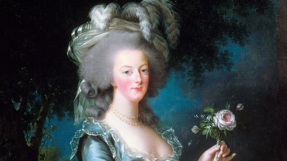 Portrait de la reine Marie-Antoinette dit « à la rose », Élisabeth-Louise Vigée Lebrun, 1783, Château de Versailles - © Jean Feuillie / Centre des monuments nationaux