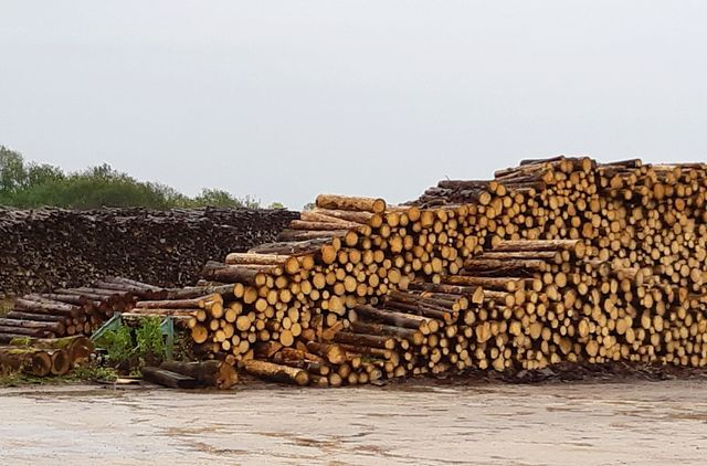Certains s'inquiètent d'uen baisse des revenus liée à la diminution des coupes de bois