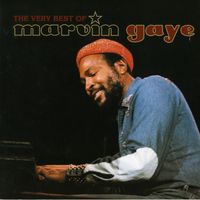 « The Very Best of Marvin Gaye » Inner City Blues (Make Me Wanna Holler)