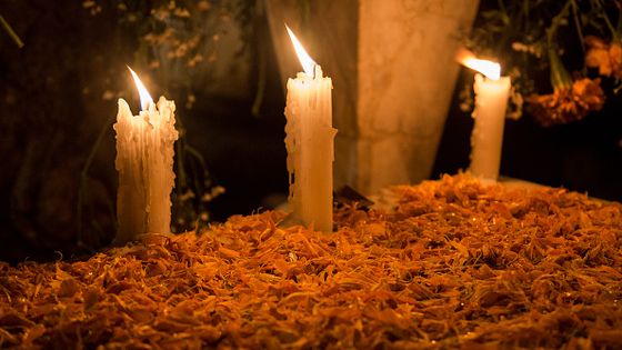 Célébrations ©Getty - Cristopher Rogel Blanquet