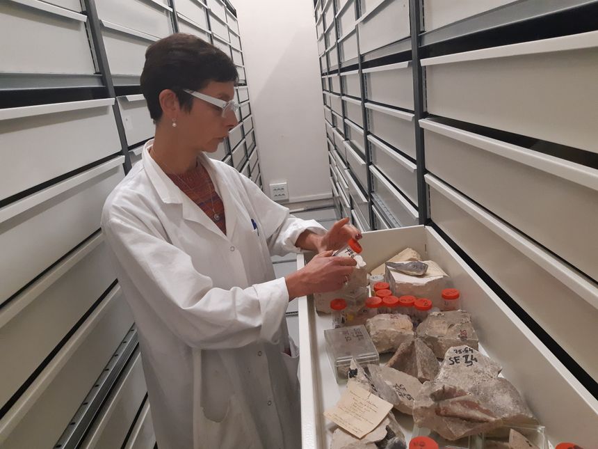 Lise Leroux, géologue au LRMH, dans la lithothèque du laboratoire, collection de pierres de carrières et de monuments