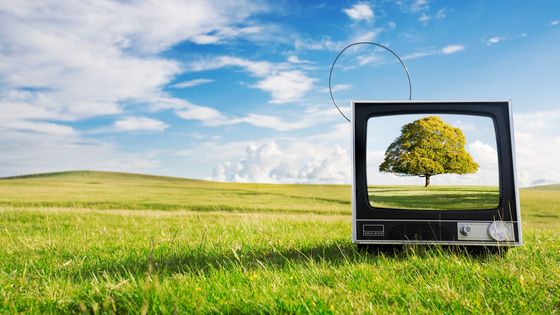 L'écologie, longtemps mal aimée des médias ©Getty - urbancow