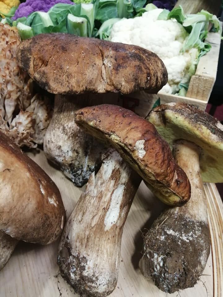 cepes