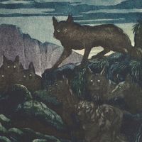 Illustration de M. de Becque extraite d'une édition de 1930 parue aux éditions Kra