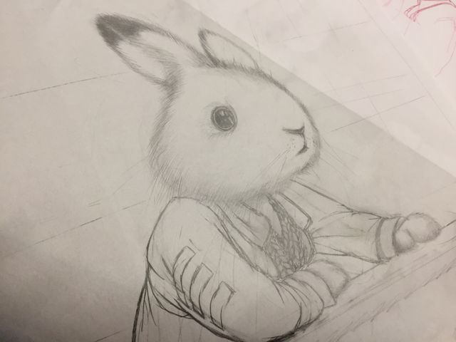 Un dessin de Rébecca Dautremer pour Jacominus Gainsborough