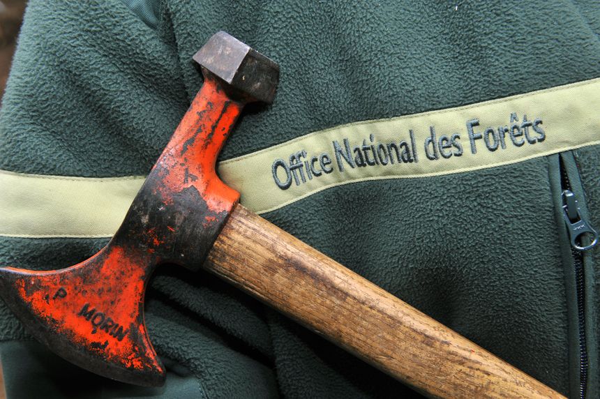 Marteau forestier de l'Office national des forêts.