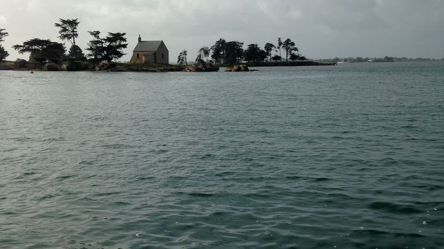 L'île d'Arz, lutte contre l'érosion des sols en plantant des arbres