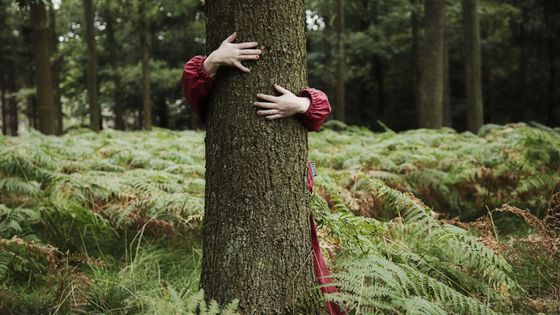 oh ! un arbre avec des mains !! ©Getty
