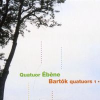 Quatuor à cordes n°3 op 17 Sz 85 : Seconda parte