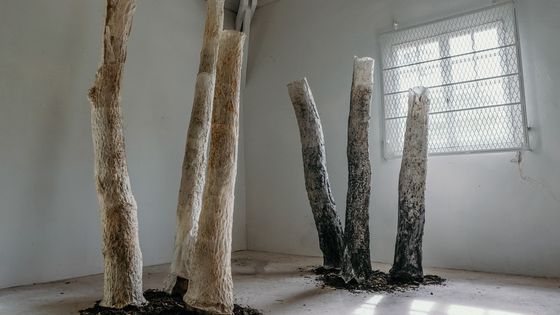 "Trees" - Éloïse Van der Heyden