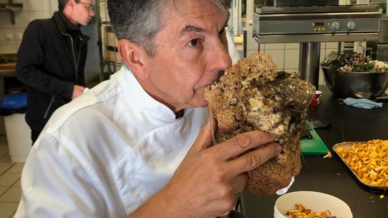 Régis Marcon, au restaurant Régis et Jacques Marcon ©Radio France - Laurent Paulré