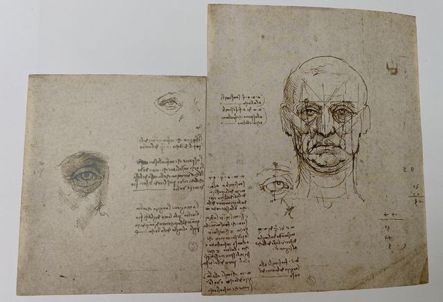 Croquis sur l'œil et les proportion du visage