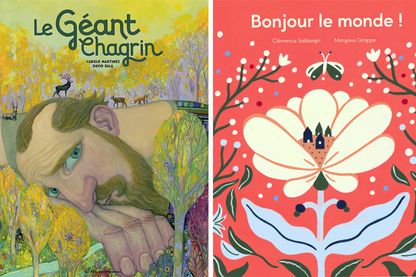 Couvertures de "Le géant chagrin" et "Bonjour le monde" Couvertures de "Le géant chagrin" et "Bonjour le monde"