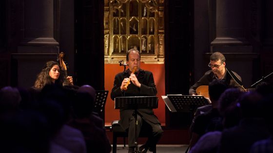 La Simphonie du Marais en concert ©Getty - Leopoldo Smith Murillo
