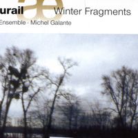 Winter Fragments 2000