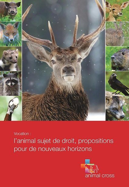 Un ouvrage à propos de la condition animale, soutenu par Julien Irrilli