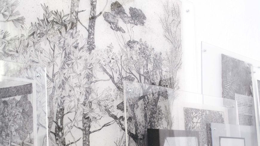 Marie Bonnin, "Un balcon en forêt"