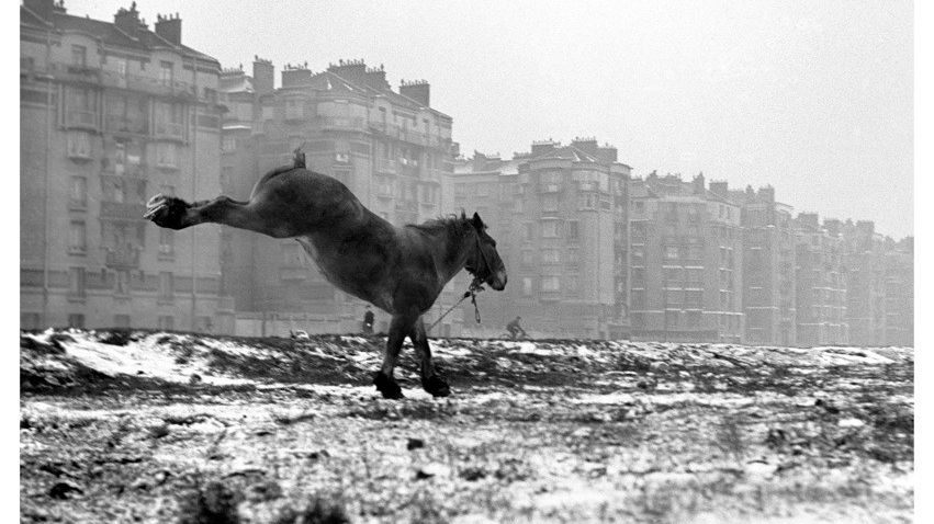 Sabine Weiss : Porte de Vanves, Paris,1951