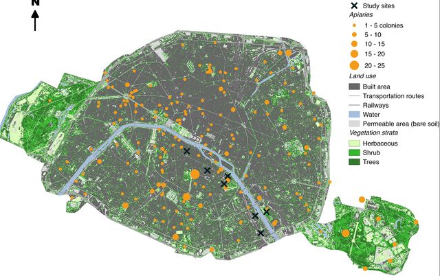 Carte des colonies d'abeilles à Paris, tirée de l'étude scientifique : Wild pollinator activity negatively related to honey bee colony densities in urban context