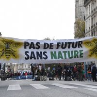 Bannière accrochée par les activistes du groupe Extinction Rebellion rue de Rivoli à Paris le 10 Octobre 2019.