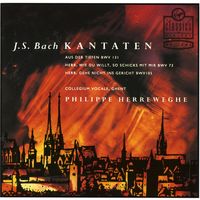 Cantate BWV 73 : Herr wie du willt so schick's mit mir : Herr wie du willt so schick's mit mir (Choeur)
