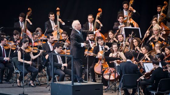 Daniel Barenboim et son West Eastern Divan Orchestra ©Getty - Frank Hoensch