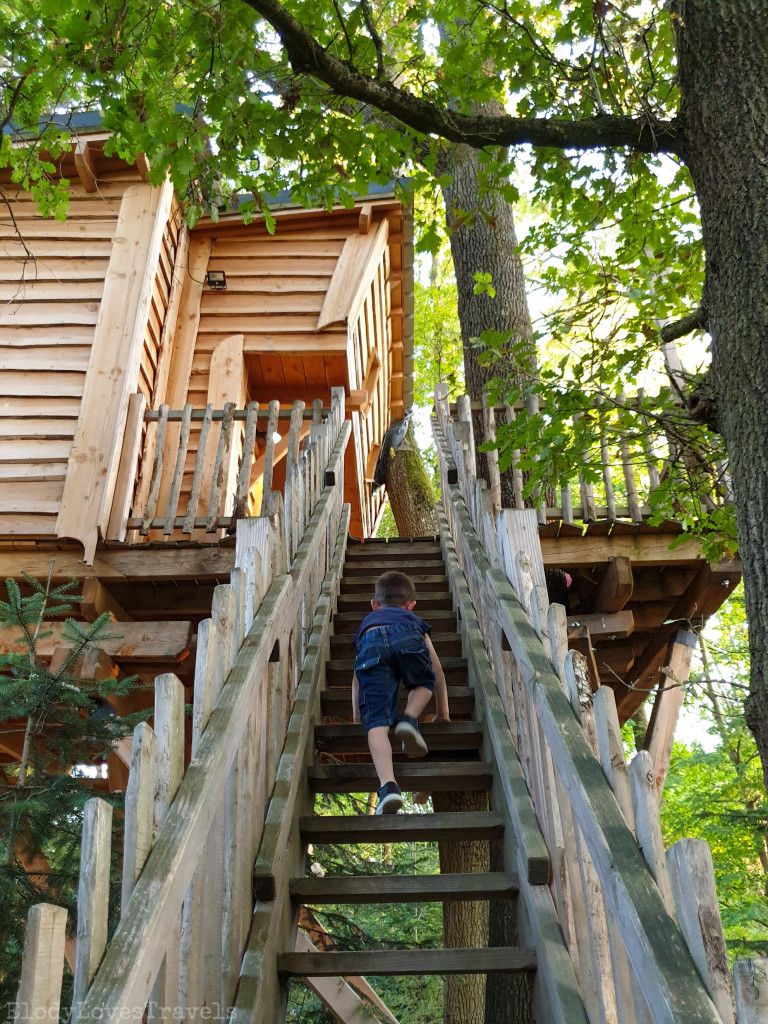 Une cabane perchée dans les arbres, c’est le monde de Charlie à Vichy - Site Elodylovestravels