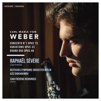 Concerto pour clarinette n°1 en fa min op 73 J 114 : 3. Rondo - Allegretto