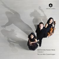 10 variations en Sol Maj sur Ich bin der Schneider Kakadu op 121a : 12. Variation X - Allegretto