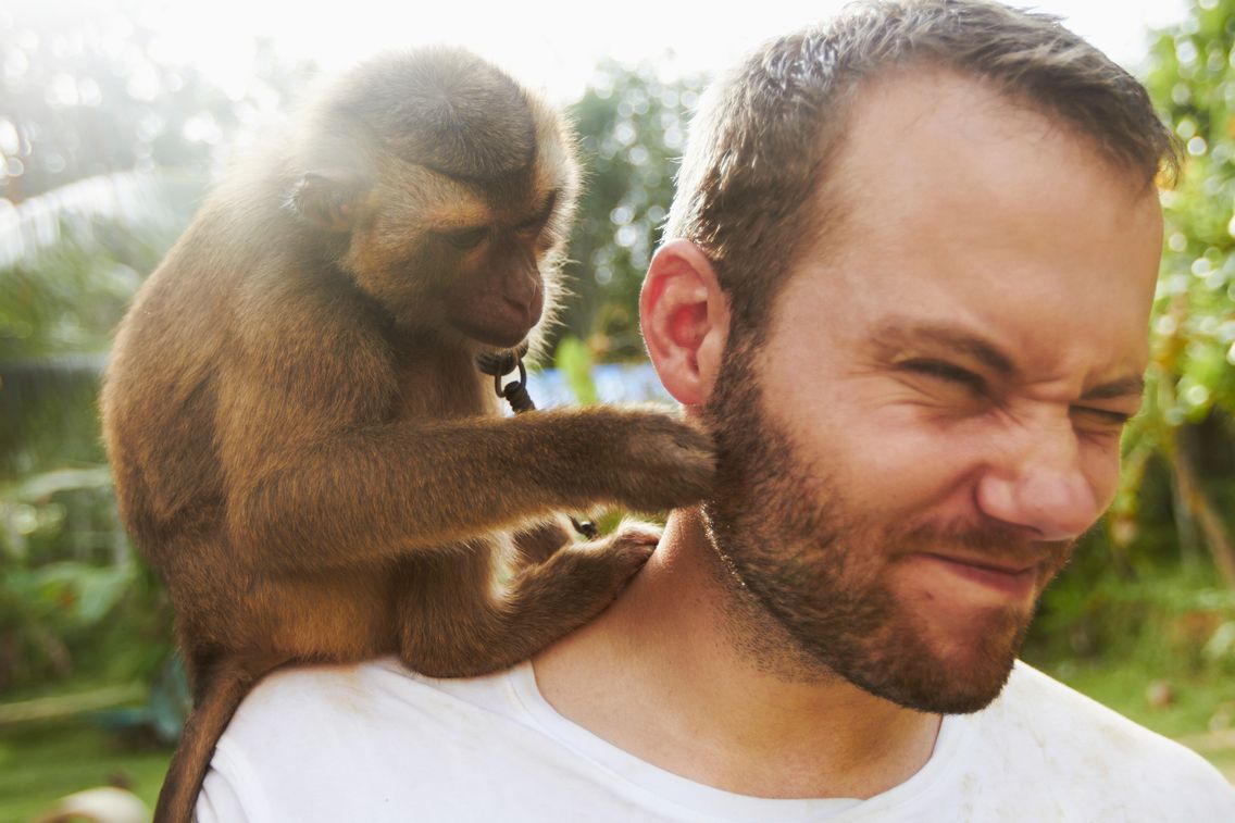 Et Si On Acceptait Le Singe En Nous