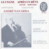 Le carnaval des animaux : Le cygne