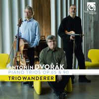TRIO POUR VIOLON VIOLONCELLE ET PIANO N°4 EN MI MIN OP 90 B 166 (DUMKY) : LENTO MAESTOSO VIVACE QUASI DOPPIO MOVEMENTO