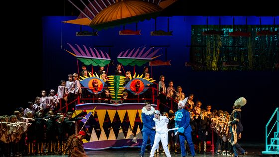La scène de l'Opéra de Bordeaux, pour la Légende du Roi Dragon - Eric Bouloumié
