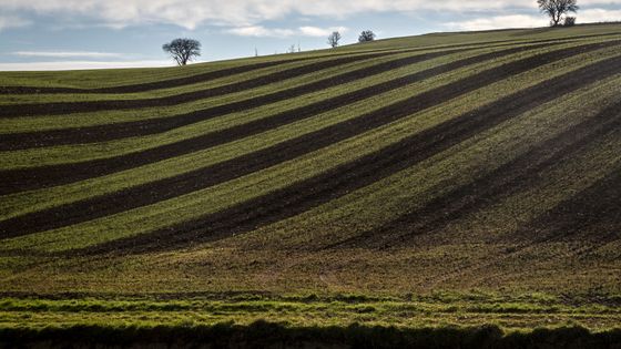 Photo prise à Monestrol en janvier 2019. ©AFP - ERIC CABANIS