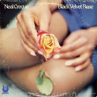 Black velvet rose