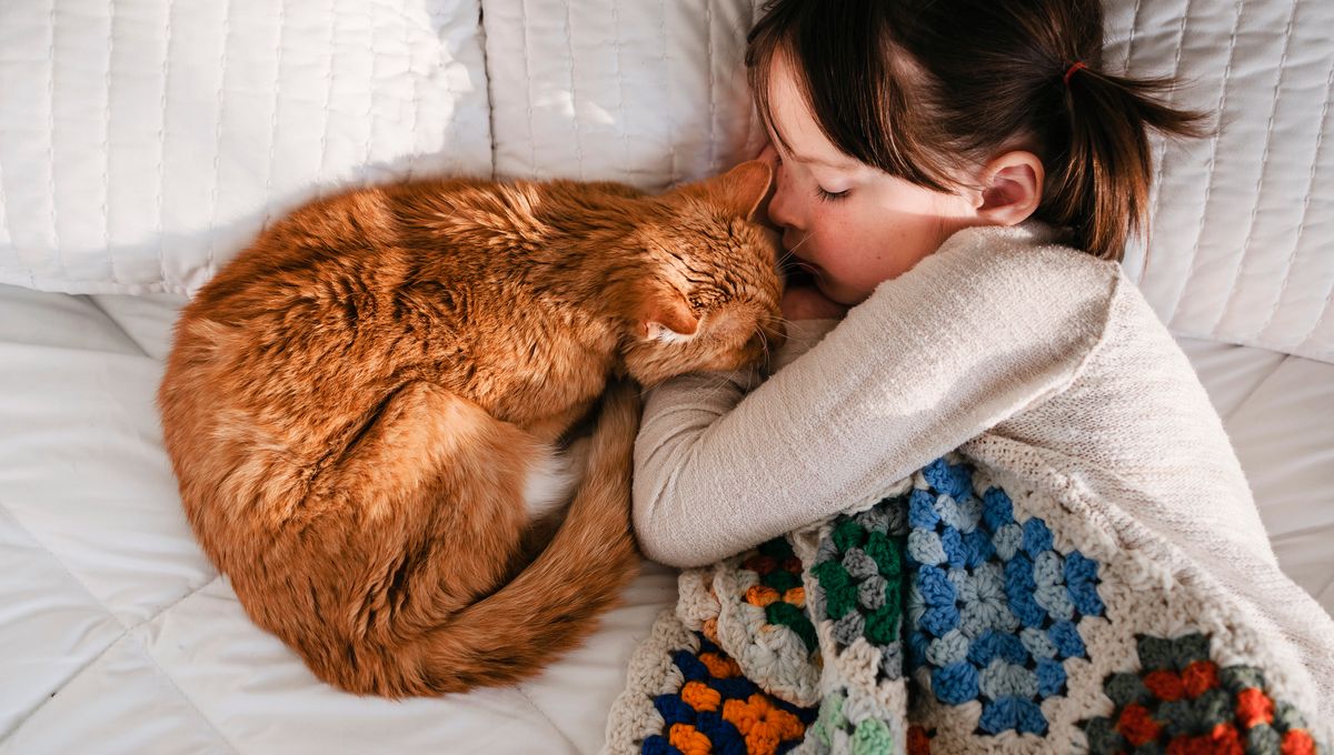 Mon Chat Me Reveille La Nuit