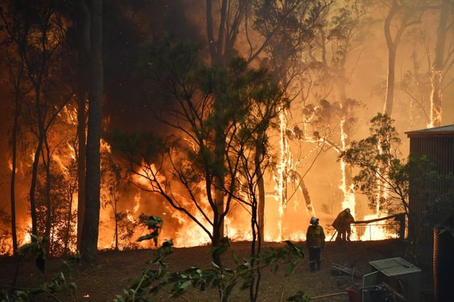 Des feux dévastent la côte est de l'Australie.