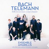 Concerto pour flûte à bec et flûte traversière en mi min TWV 52 : e1 : Presto