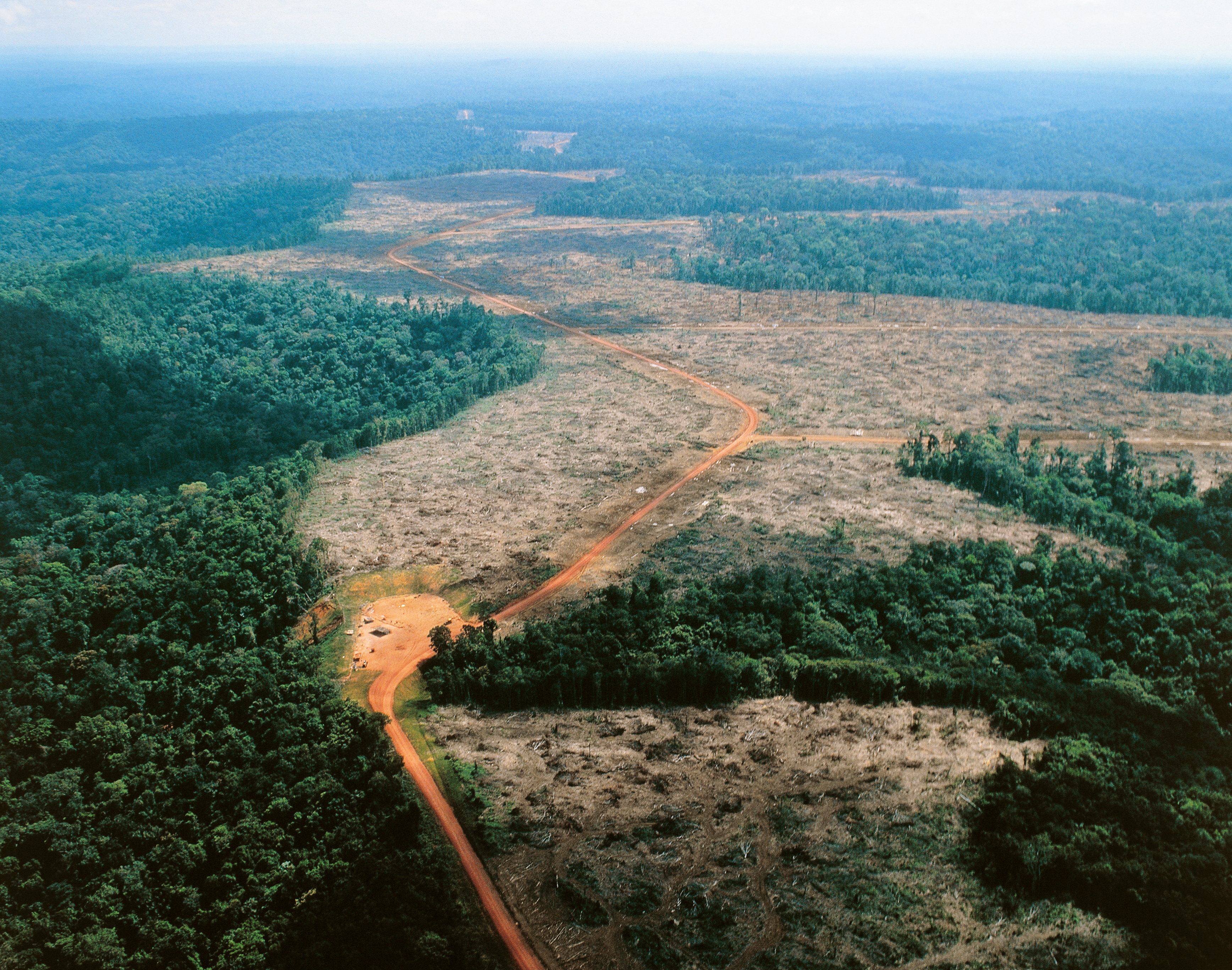 Deforestation En Amazonie Vers Un Point De Non Retour