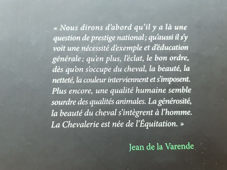 Tout un programme (4ème de couverture)