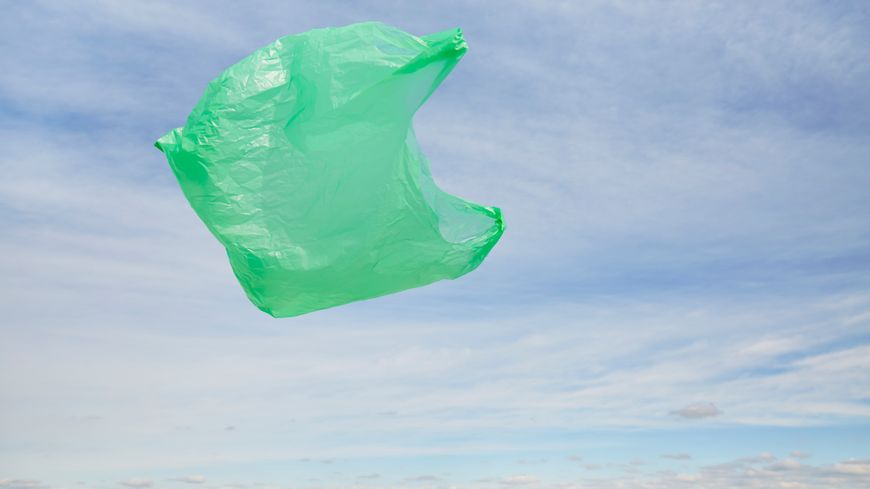 Les éco-intellectuels : 100 penseurs pour comprendre l’écologie