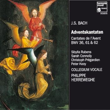 CD Bach Cantates de l'Avent Collegium Vocale Herreweghe
