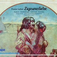 Zigeunerliebe : Ouverture