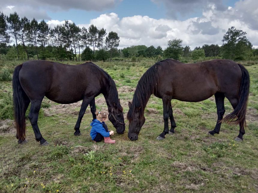 La petite fille de Célia Le Corre, éleveuse de chevaux espagnols.
