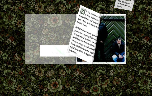 Détail du site "Perfect Fools" en 2002